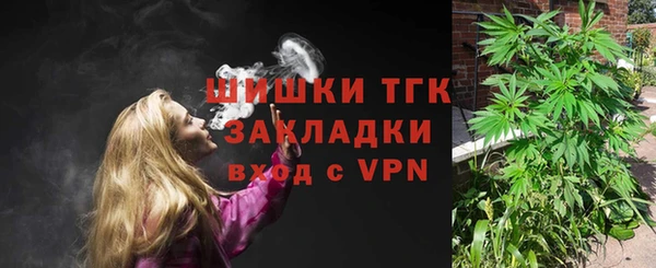 гидра Аркадак