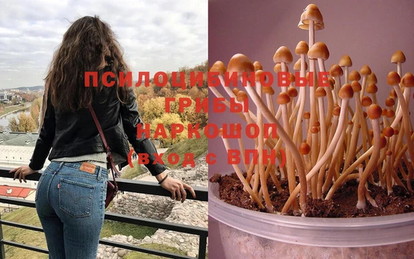 дистиллят марихуана Беломорск